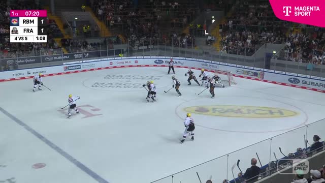 Highlights