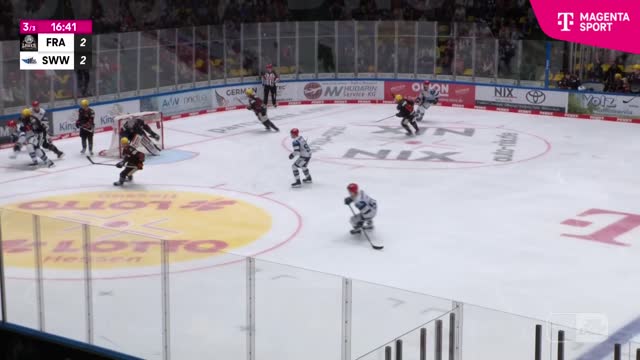 Highlights