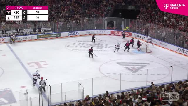 Highlights