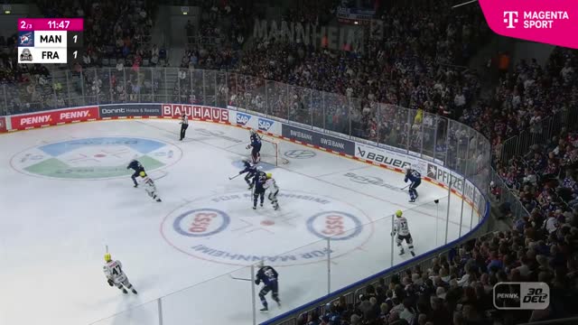 Highlights