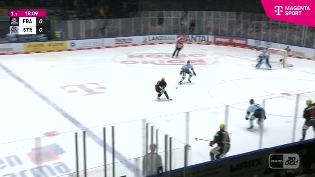 Highlights