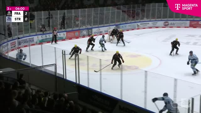 Highlights