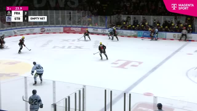 Highlights