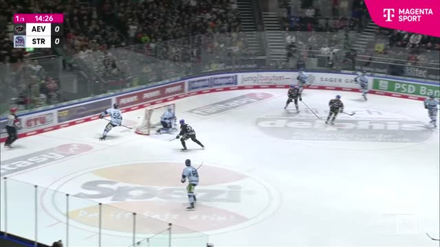 Highlights