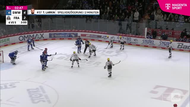 Highlights