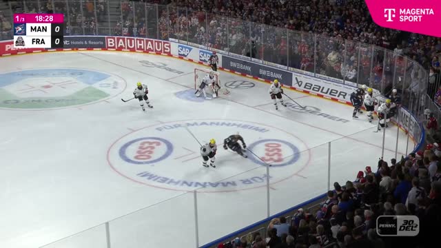 Highlights