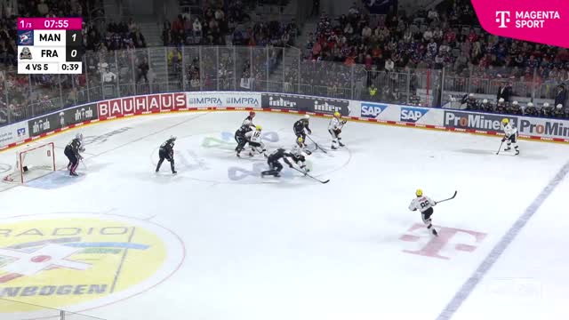 Highlights