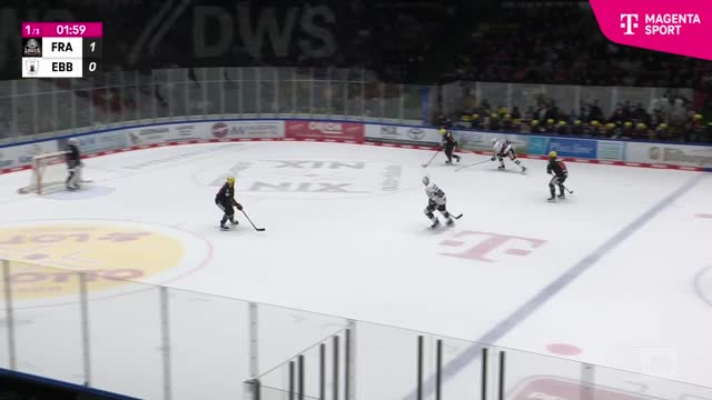 Highlights