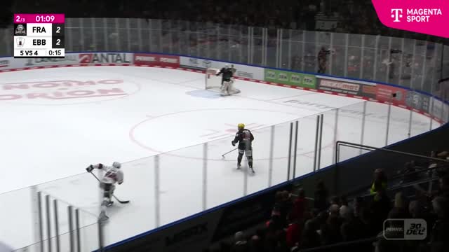 Highlights
