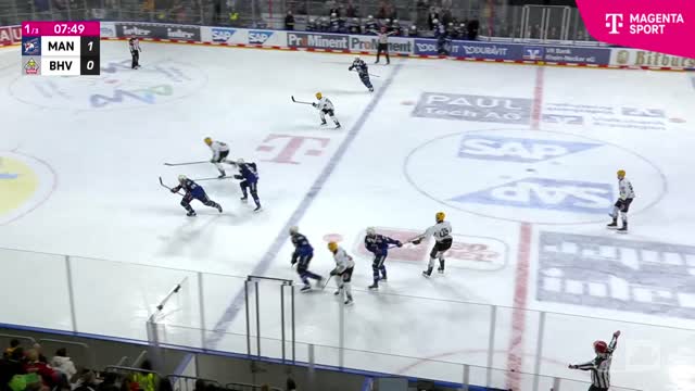 Highlights