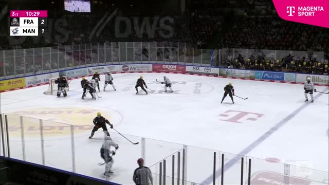 Highlights