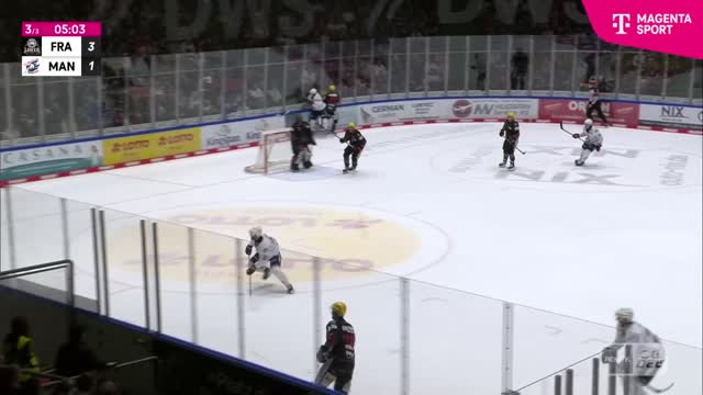 Highlights