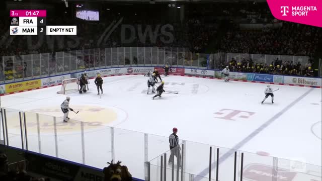 Highlights