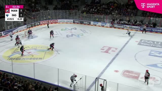 Highlights