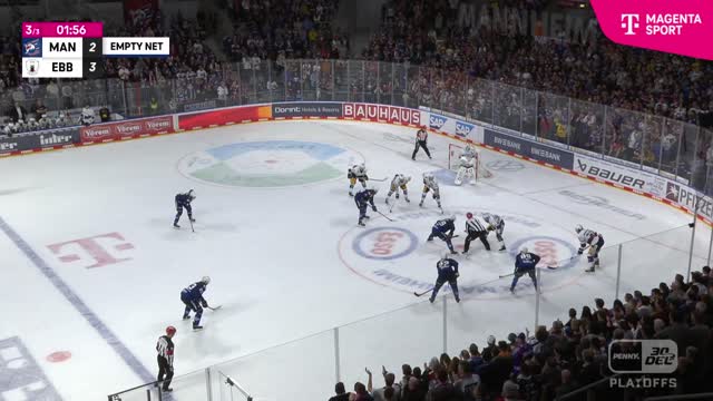Highlights