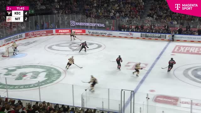Highlights