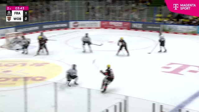 Highlights