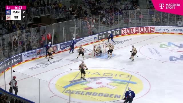 Highlights