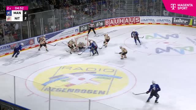 Highlights