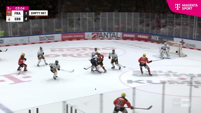 Highlights