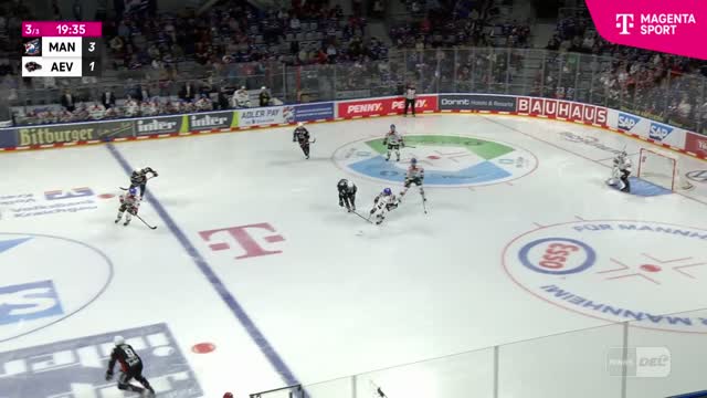 Highlights