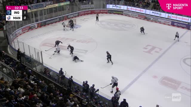 Highlights