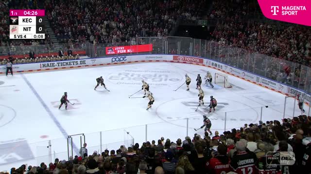 Highlights