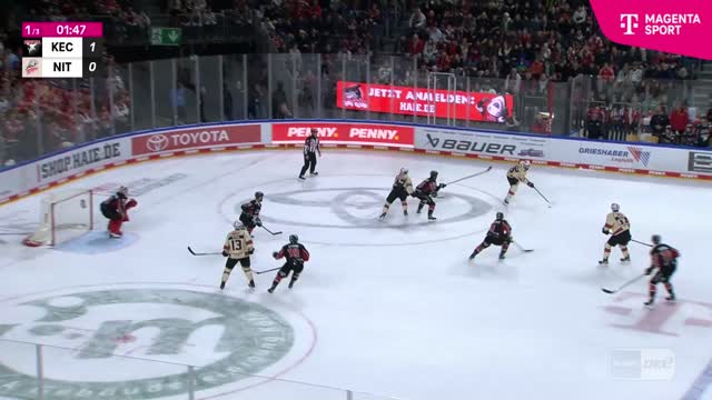 Highlights