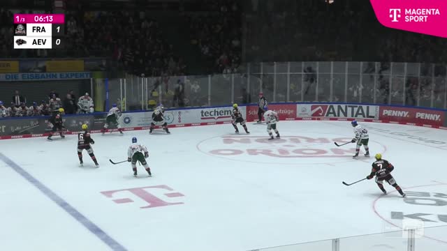 Highlights