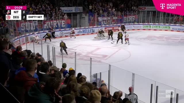 Highlights