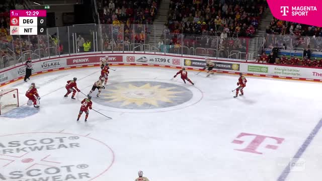 Highlights