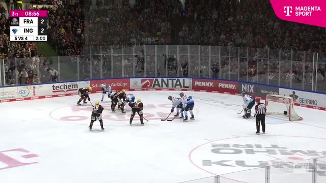 Highlights