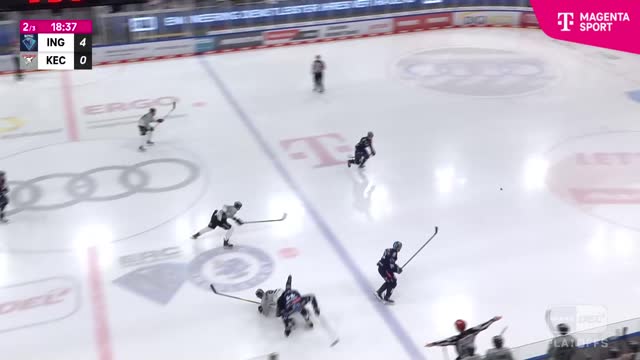 Highlights