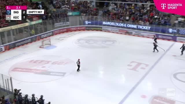 Highlights