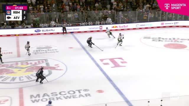 Highlights