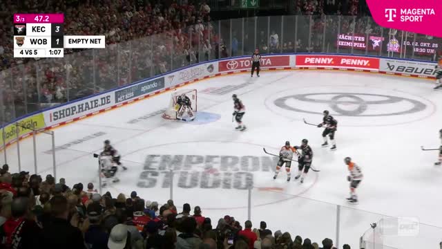 Highlights
