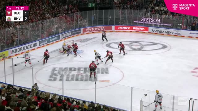 Highlights