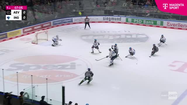 Highlights