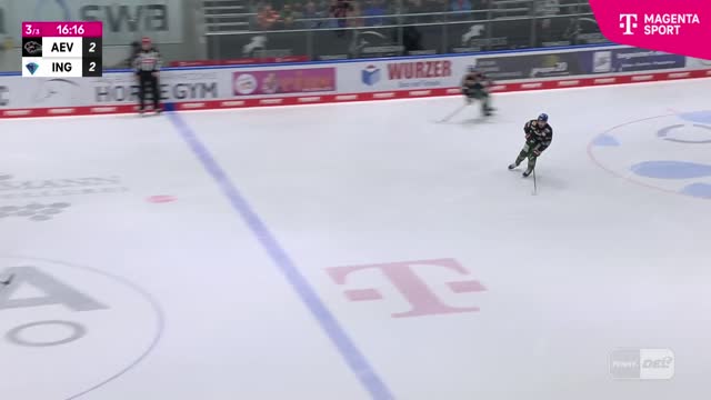 Highlights