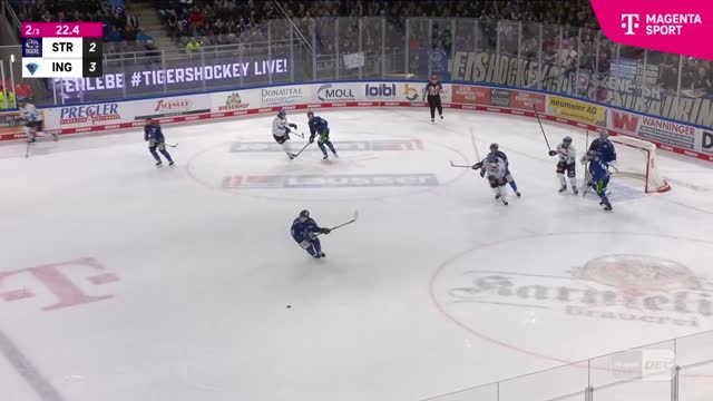 Highlights Highlights