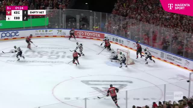 Highlights